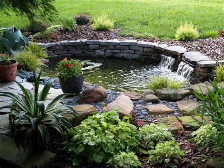 Can I use pond water to water my garden?