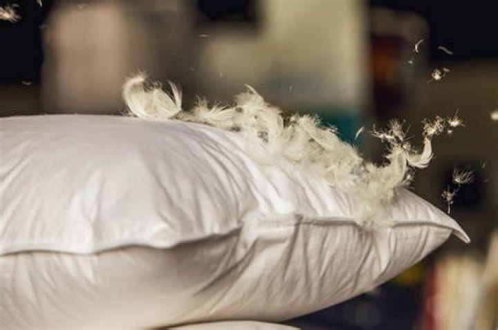 Can toddlers have feather pillows?
