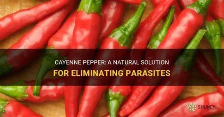 Does cayenne pepper kill bacteria?