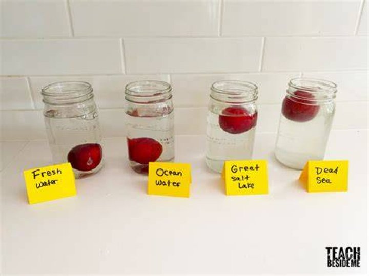 Does salt sink or float?