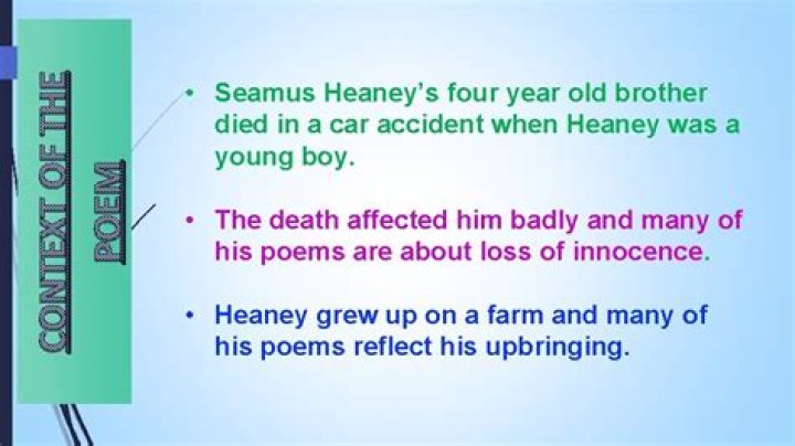 How did Seamus Heaney's brother die?