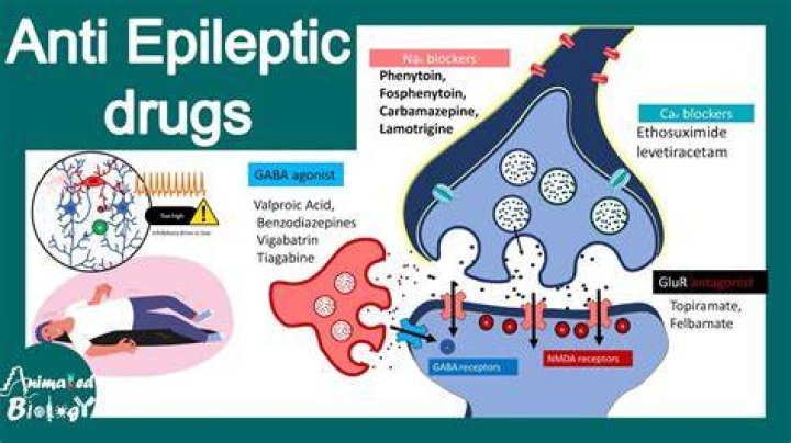 How do antiepileptic drugs work?