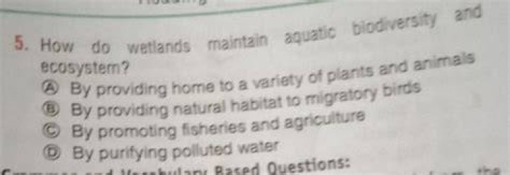 How do breeding programs maintain biodiversity?