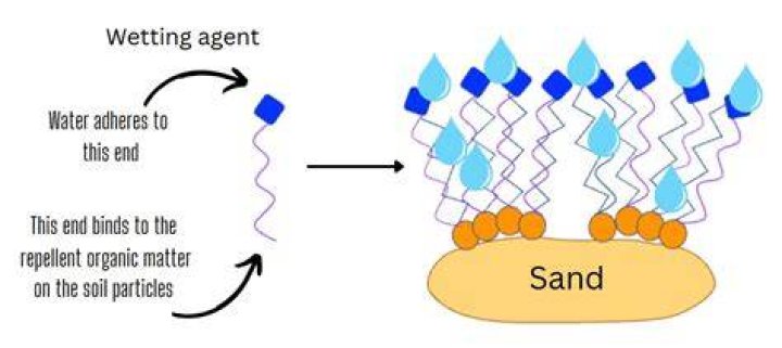 How do soil wetting agents work?