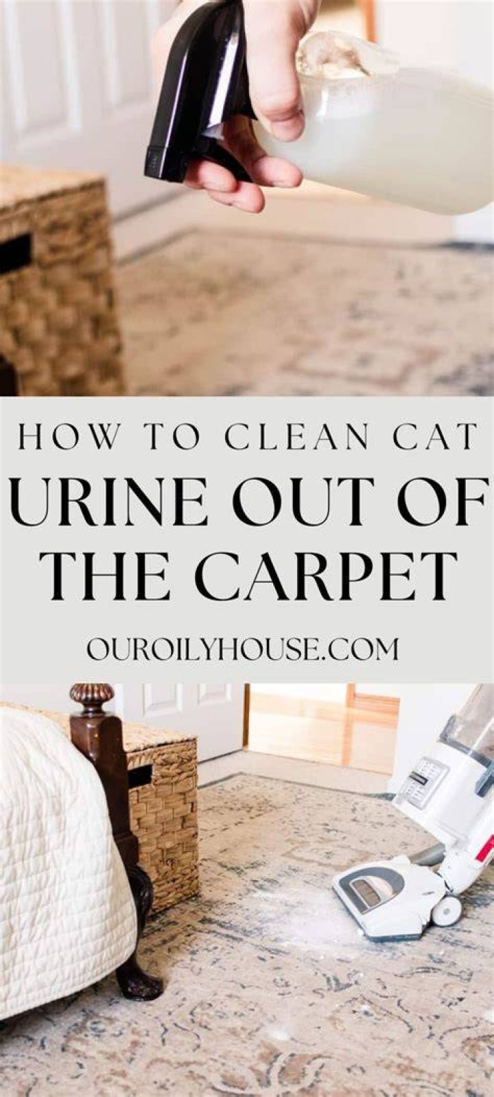 How do you get cat pee out of a leather jacket?