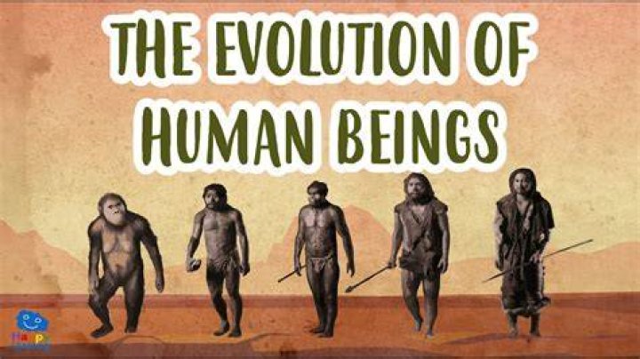 How early human beings communicate with each other?