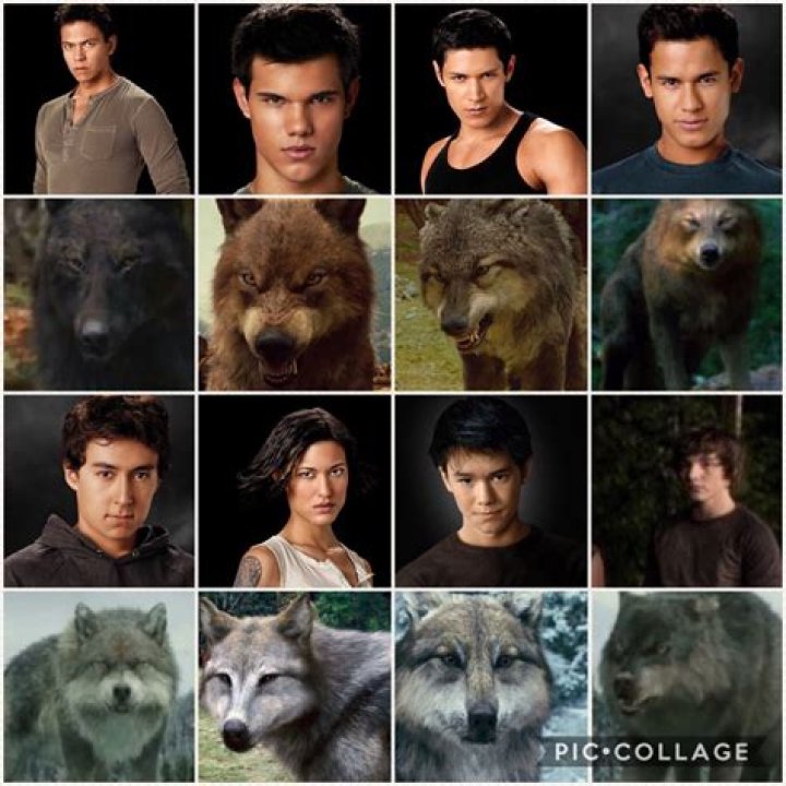 How many werewolves are in Twilight?