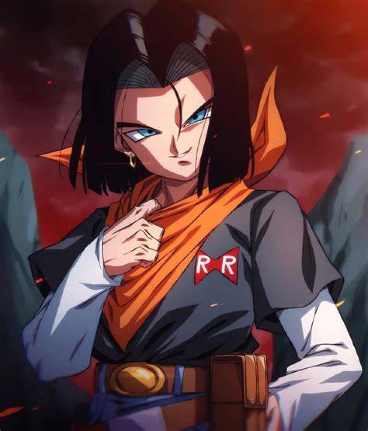 Is Android 17 a cyborg?