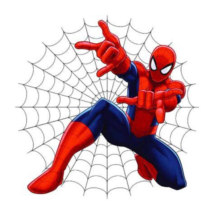 Is Spiderman a cartoon character?