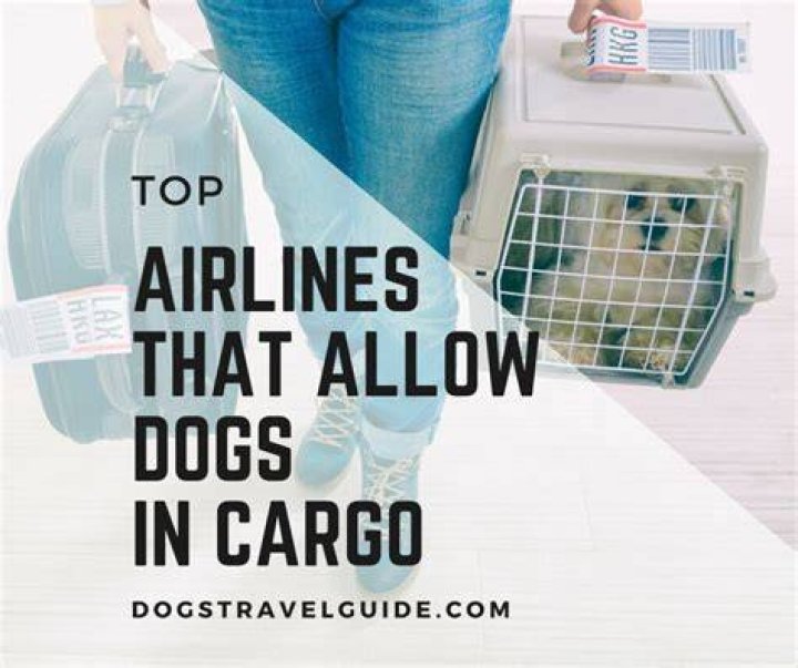 What airlines will ship dogs?