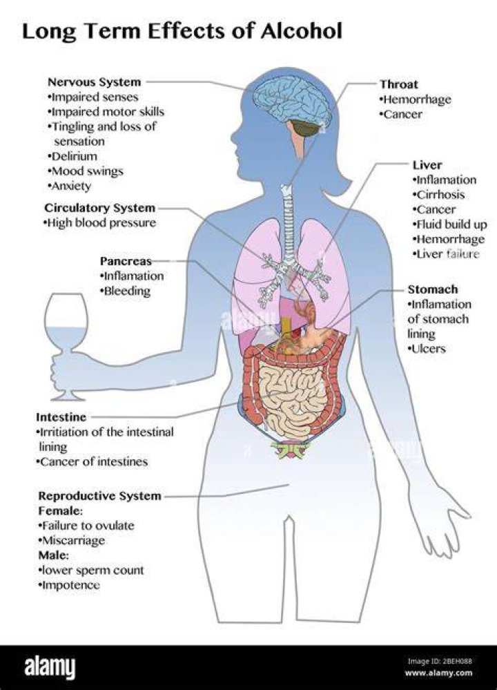 What alcohol does to your organs?