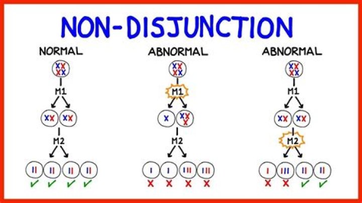 What are 3 disorders due to Nondisjunction?