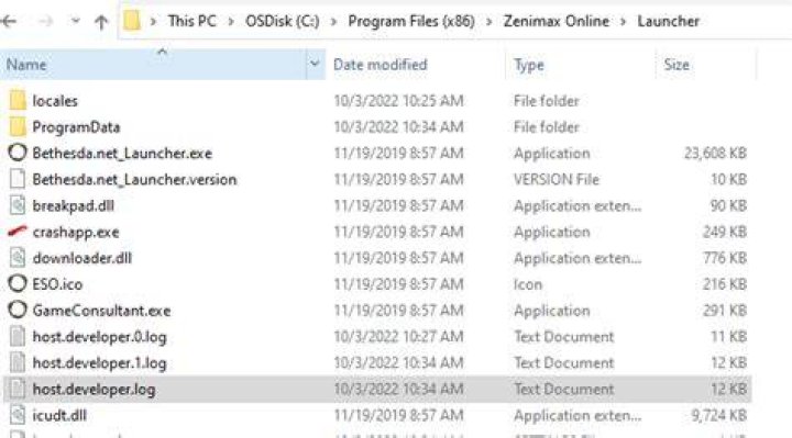 What are developer files? | ContextResponse.com