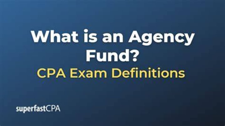 What do agency funds typically report?