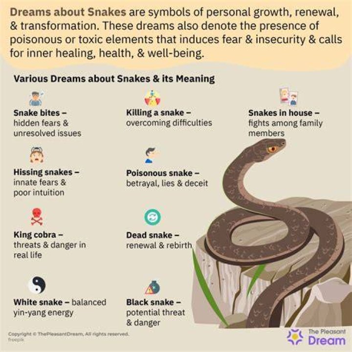 What does dreaming about a cobra snake mean?