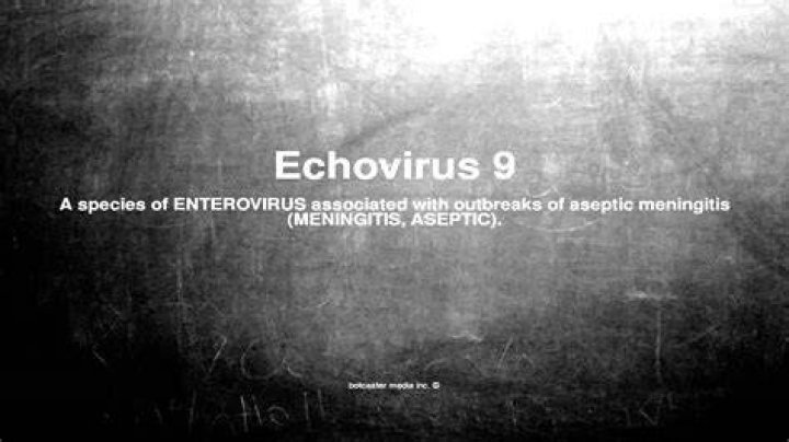 What does Echovirus cause? | ContextResponse.com