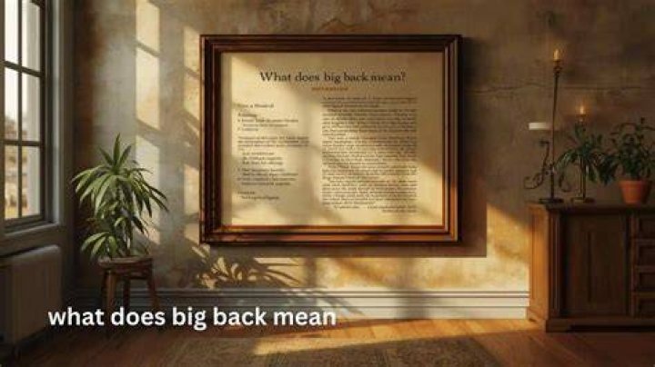 What does get back mean?