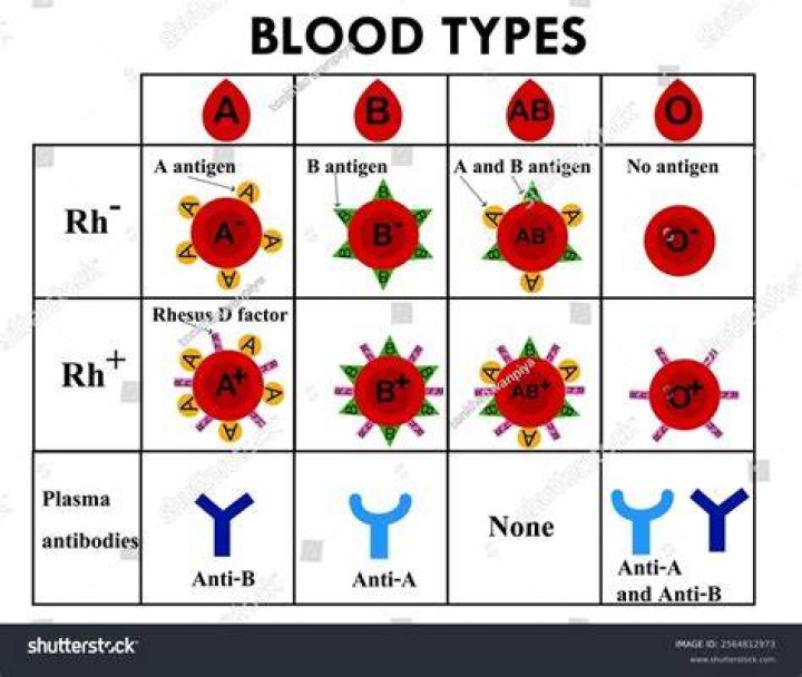 What is a positive blood?