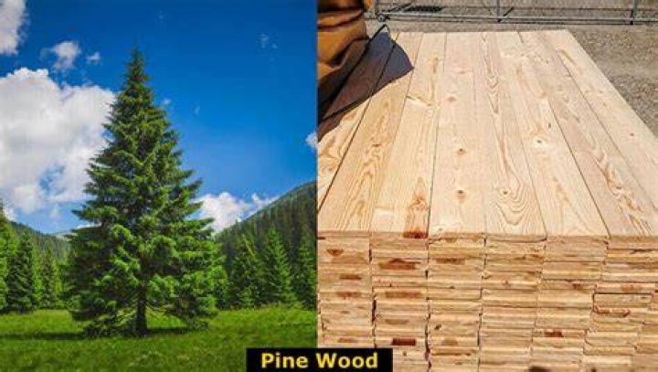 What is bad about pine wood?