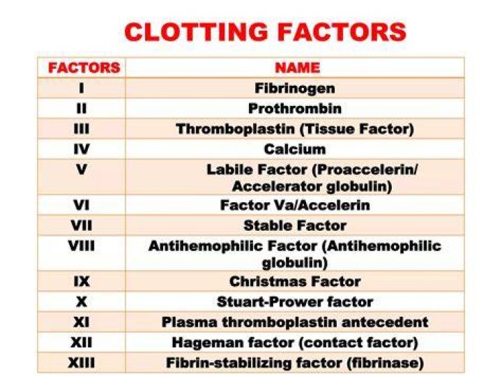 What is blood clotting factor?