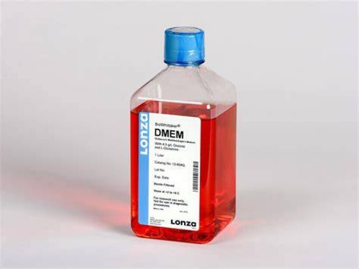 What is Dmem used for?