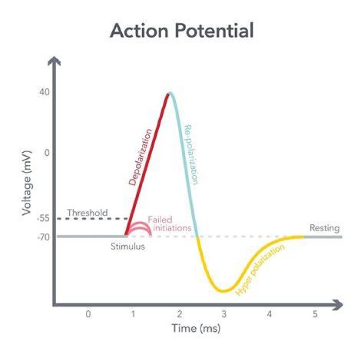 What is potential free signal?