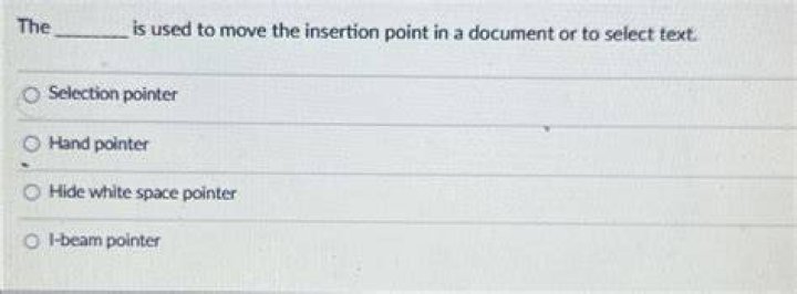 What is the selection pointer and insertion point?