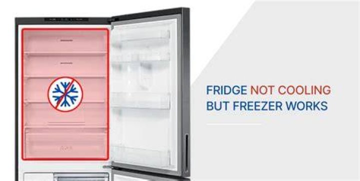 Why is freezer on top of fridge?