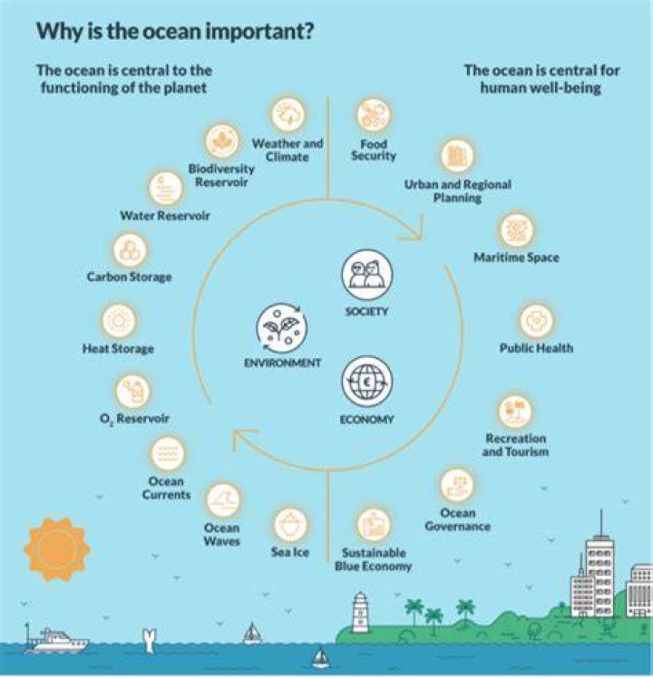 Why is light important in the ocean?